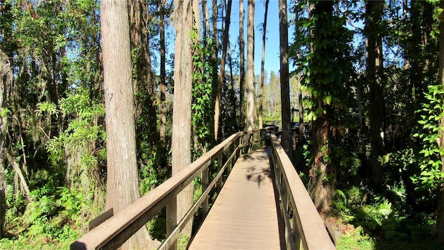 20853 Haulover Cv Unit A8, Lutz, FL 33558 - view of community