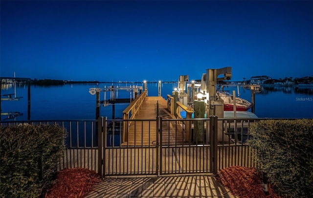 dock area with a water view