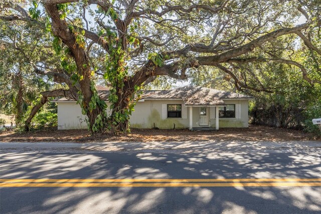 775 Pennsylvania Ave, Palm Harbor, FL 34683 - photo 1