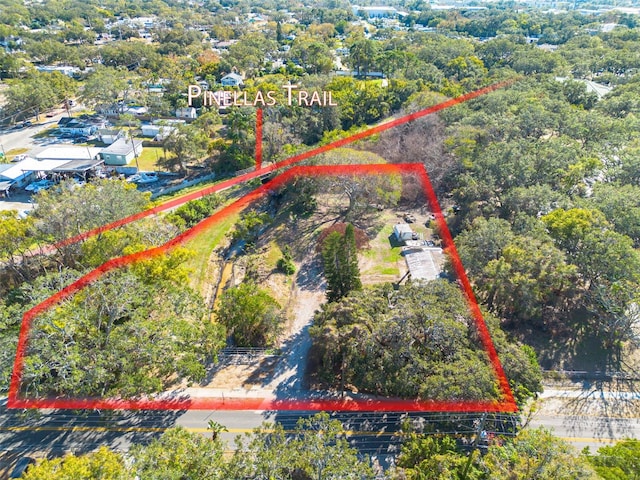 775 Pennsylvania Ave, Palm Harbor, FL 34683 - photo 2