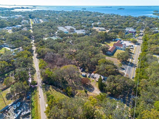 775 Pennsylvania Ave, Palm Harbor, FL 34683 - photo 21