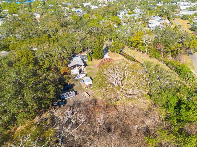 775 Pennsylvania Ave, Palm Harbor, FL 34683 - photo 27