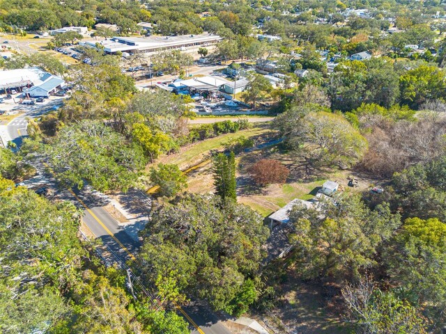 775 Pennsylvania Ave, Palm Harbor, FL 34683 - photo 28