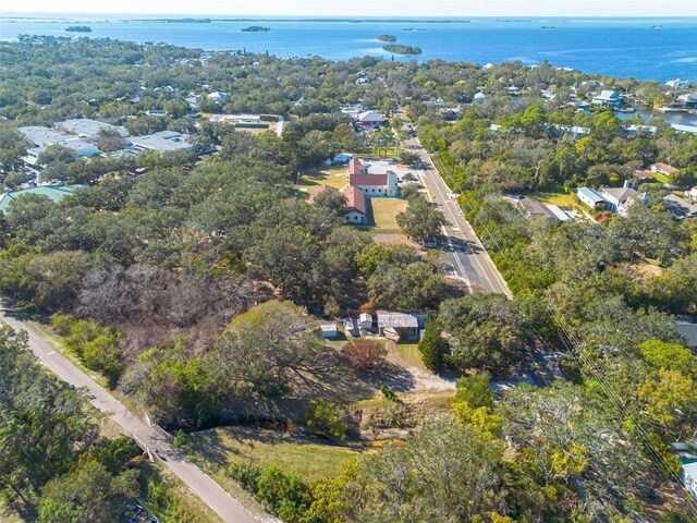 775 Pennsylvania Ave, Palm Harbor, FL 34683 - photo 29