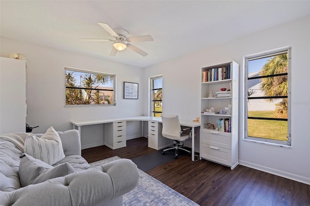 office space featuring ceiling fan and dark wood-type flooring