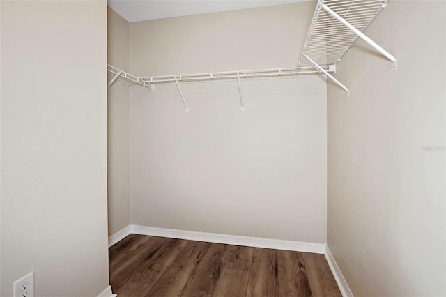 walk in closet with hardwood / wood-style flooring