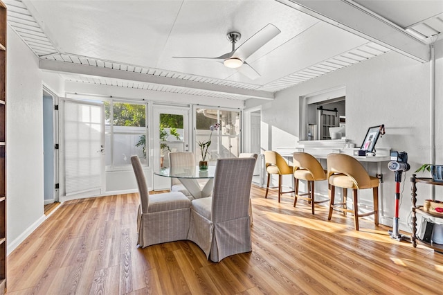 dining space with ceiling fan and light wood-type flooring