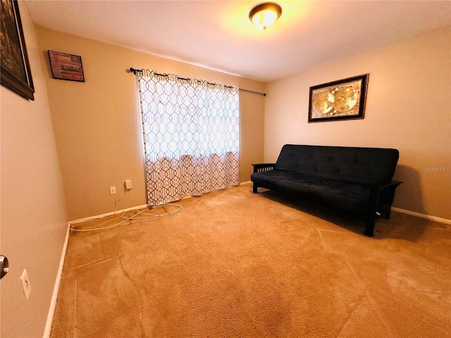 sitting room featuring carpet