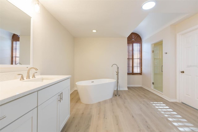 bathroom featuring hardwood / wood-style flooring, vanity, and plus walk in shower