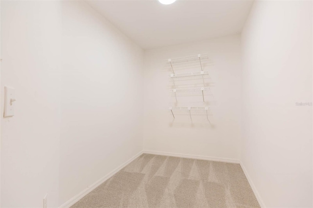 walk in closet with carpet flooring