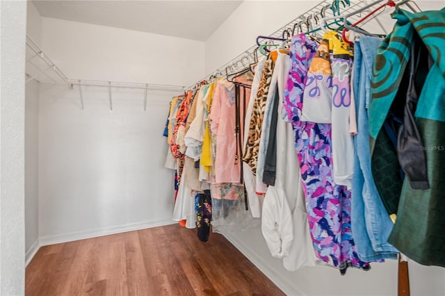 spacious closet with wood-type flooring