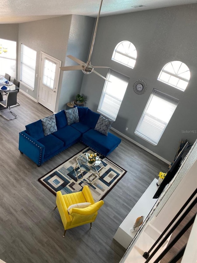 living room featuring high vaulted ceiling and hardwood / wood-style flooring