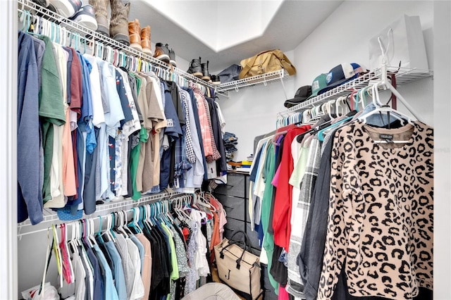 view of spacious closet