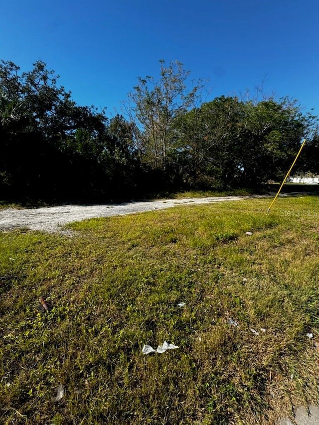 Martin Luther King Jr Ave, Clearwater, FL 33755