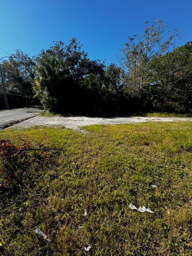 Martin Luther King Jr Ave, Clearwater, FL 33755