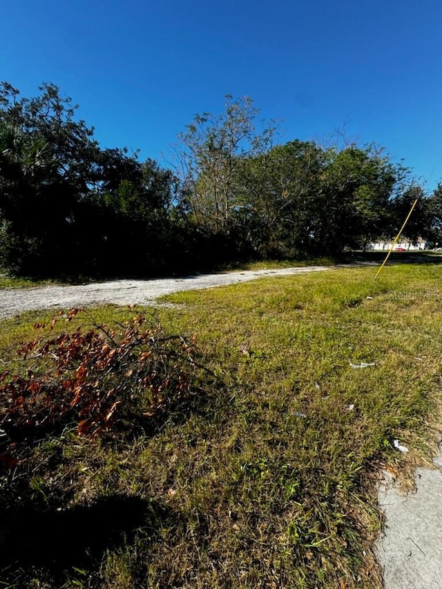 Martin Luther King Jr Ave, Clearwater, FL 33755
