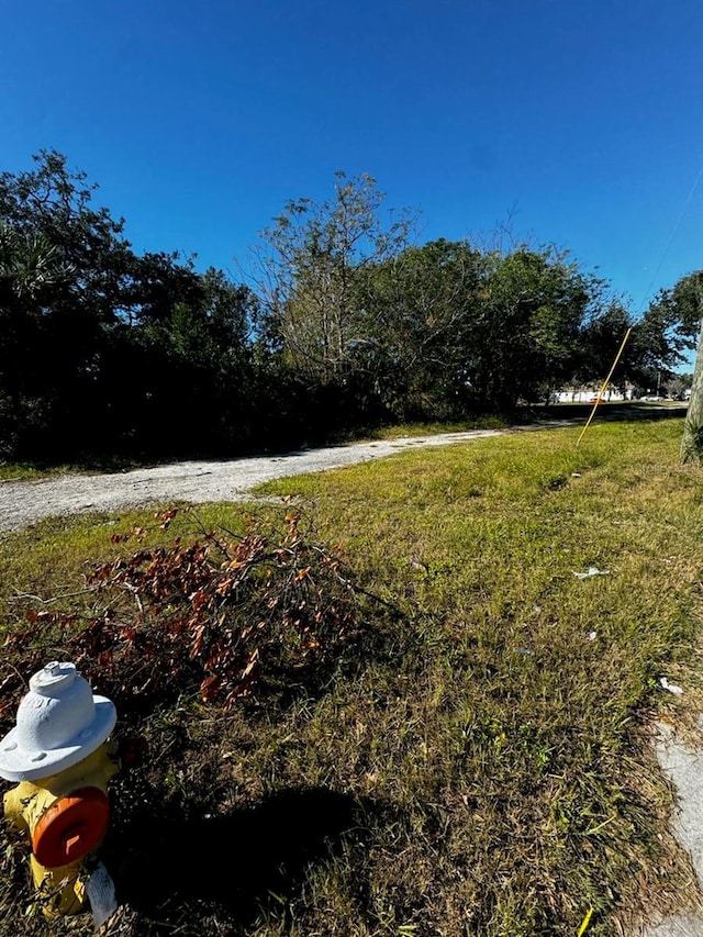 Martin Luther King Jr Ave, Clearwater, FL 33755