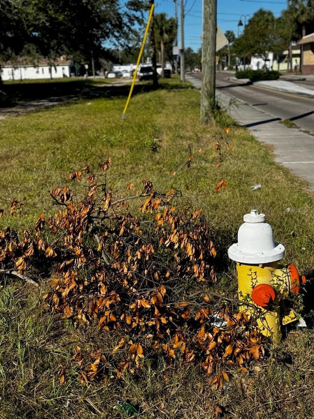 Martin Luther King Jr Ave, Clearwater, FL 33755