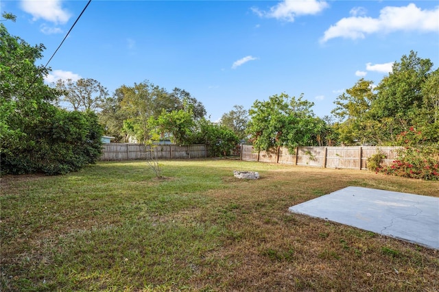 view of yard featuring a patio area