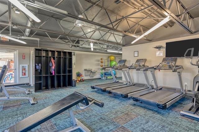 workout area with carpet flooring