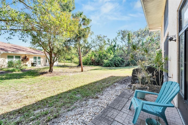 view of yard featuring a patio area