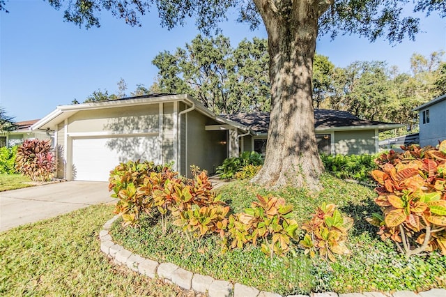 14631 Village Glen Cir, Tampa, FL 33618 - mid-century inspired home with an attached garage, concrete driveway, and stucco siding