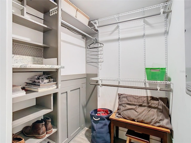 view of walk in closet