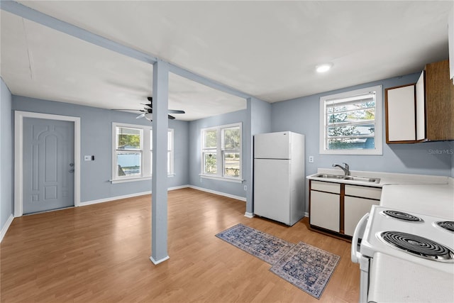 kitchen featuring ceiling fan, sink, white appliances, and light hardwood / wood-style flooring