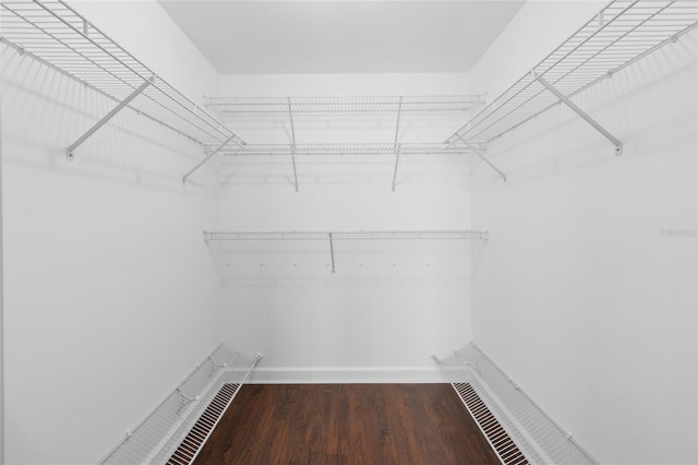 walk in closet featuring dark hardwood / wood-style flooring