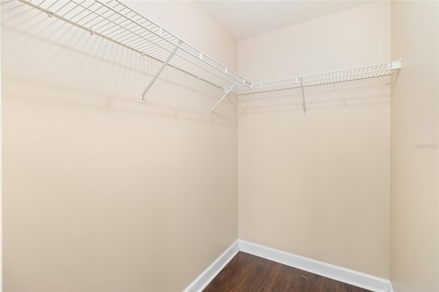 spacious closet with dark wood-type flooring