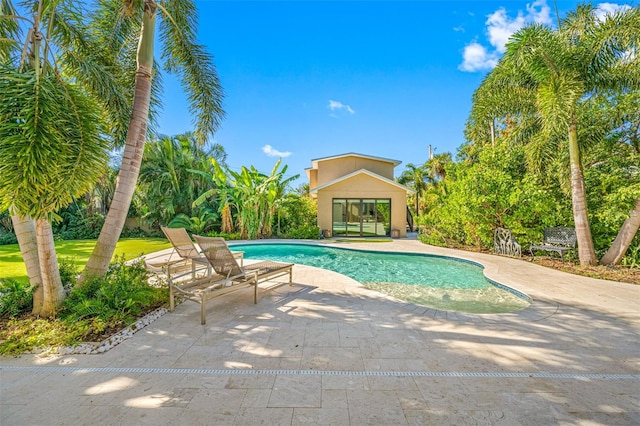 view of swimming pool with a patio