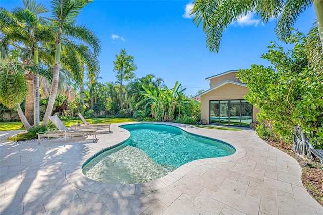 view of pool featuring a patio area