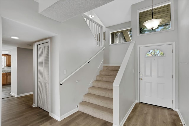 foyer featuring wood-type flooring and a wealth of natural light