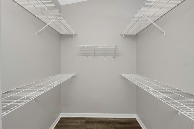 walk in closet with dark hardwood / wood-style flooring