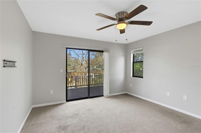 empty room featuring ceiling fan and carpet