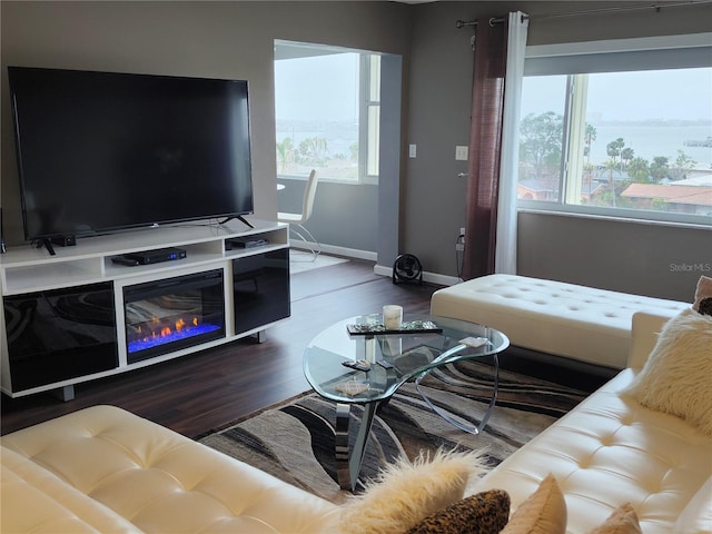 living room with wood-type flooring and a healthy amount of sunlight