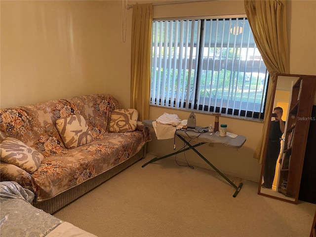 5105 Garden Vale Ave, Tampa, FL 33624 - living room with carpet flooring
