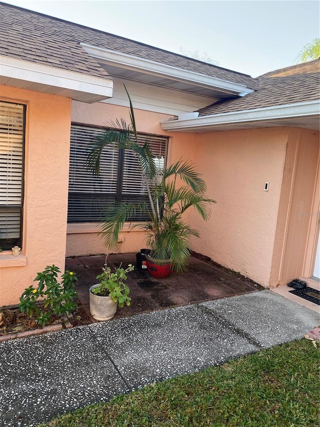 5105 Garden Vale Ave, Tampa, FL 33624 - view of exterior entry featuring stucco siding and a shingled roof