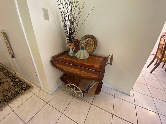 5105 Garden Vale Ave, Tampa, FL 33624 - detailed view of baseboards