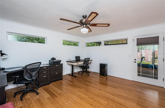 office featuring light wood-type flooring, ceiling fan, and ornamental molding