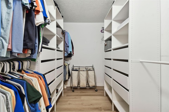 walk in closet featuring light hardwood / wood-style floors