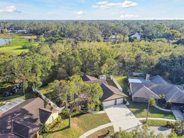 1121 Belladonna Dr, Brandon, FL 33510 - photo 39