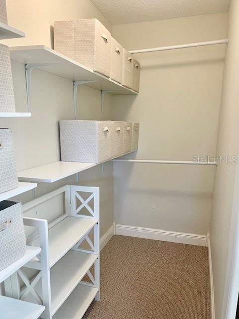 spacious closet featuring carpet flooring