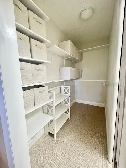 spacious closet with light carpet