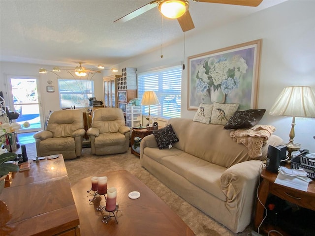 carpeted living room with a healthy amount of sunlight and a textured ceiling