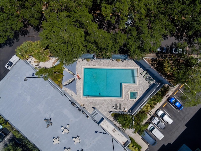 201 W Laurel St Unit 503, Tampa, FL 33602 - drone / aerial view of a pool