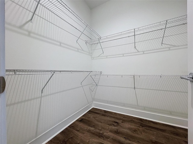 spacious closet with hardwood / wood-style flooring