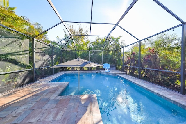 view of pool featuring a lanai and a patio area