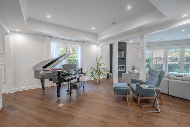 sitting room featuring hardwood / wood-style flooring, a large fireplace, a healthy amount of sunlight, and a tray ceiling