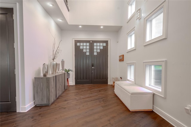 entrance foyer with plenty of natural light, dark hardwood / wood-style floors, and a high ceiling